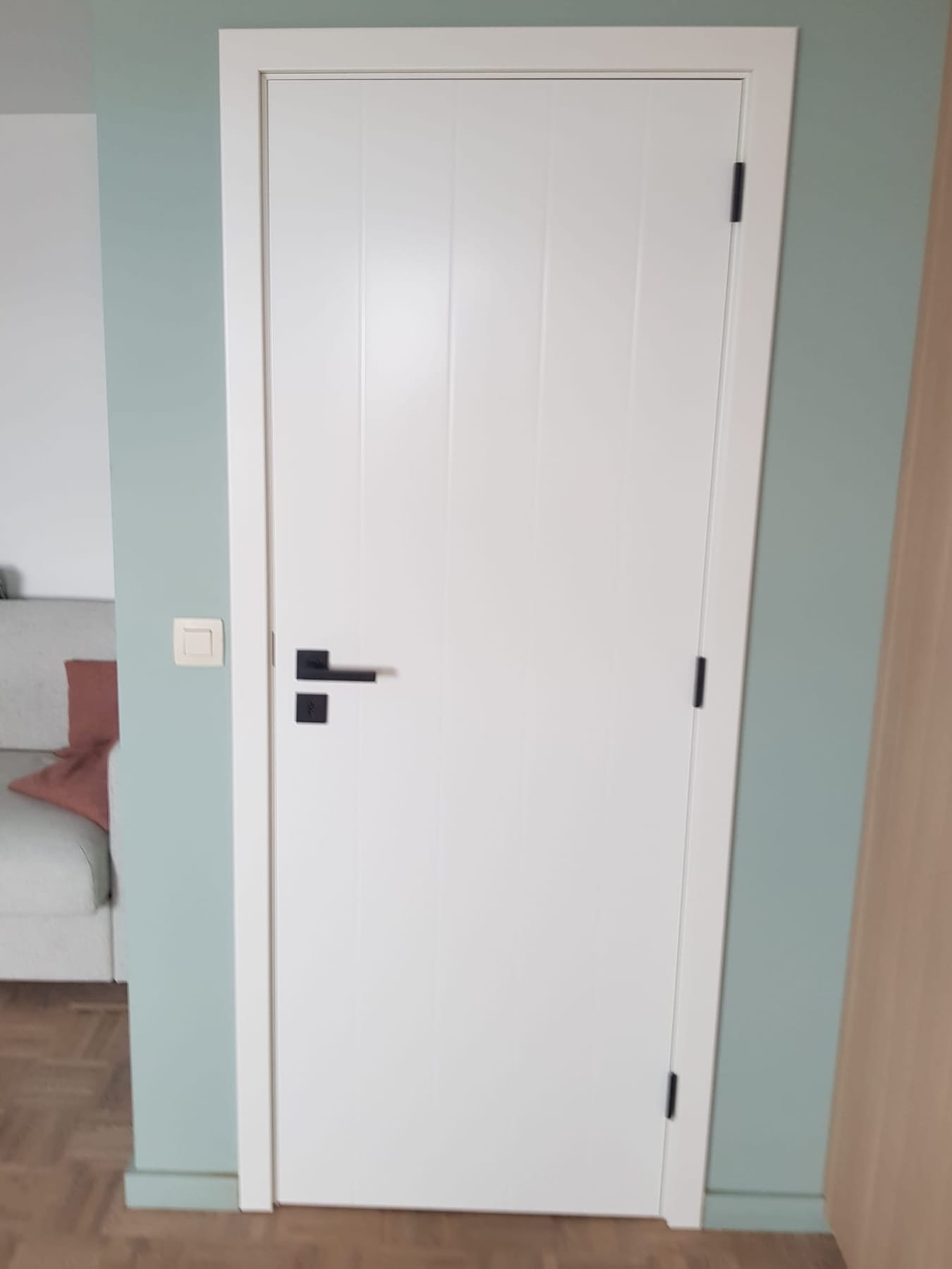 Modern interieur met strak gelakte deur